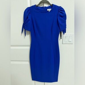 Calvin Klein short puff sleeve dress,size 2